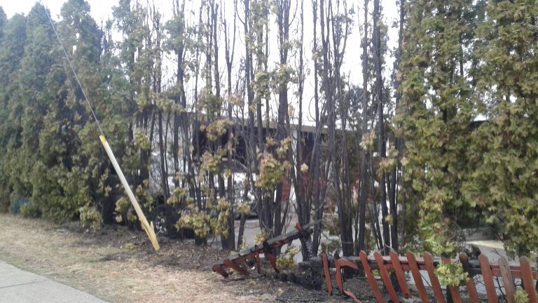 RCMP reaching out to public in possible East Trail arson case