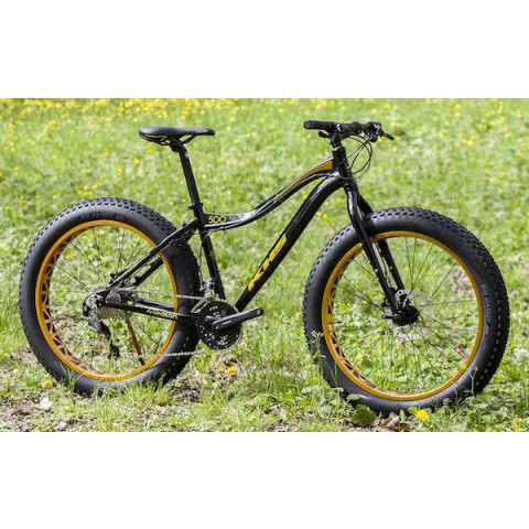 Fat tire mountain bike stolen in Rossland