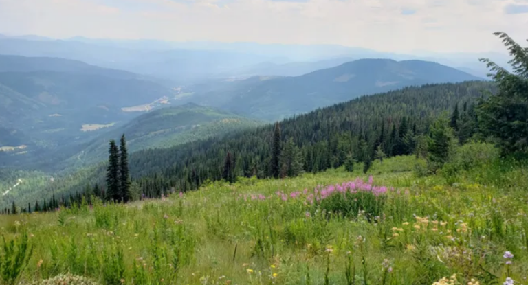 Local group calls on province to halt permitting process for Record Ridge mine project