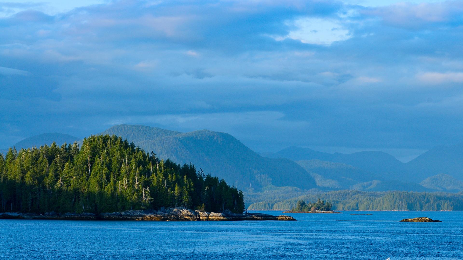 3-Day Trip to the Great Bear Rainforest - My Kootenay Now