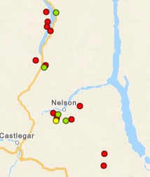 Several out of control wildfires ignited in the Kootenays