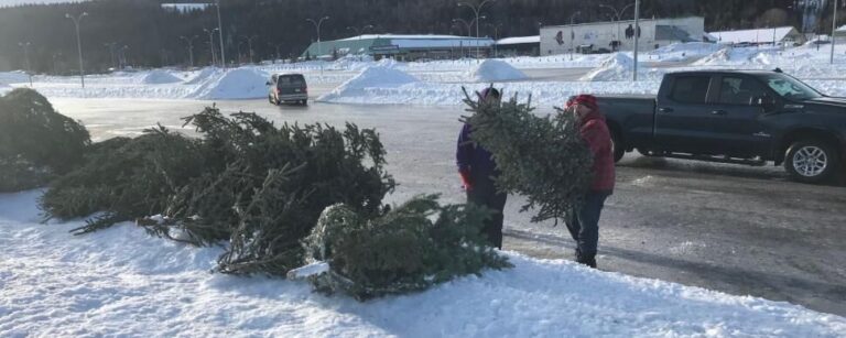 Trail’s Christmas tree pick up this Saturday